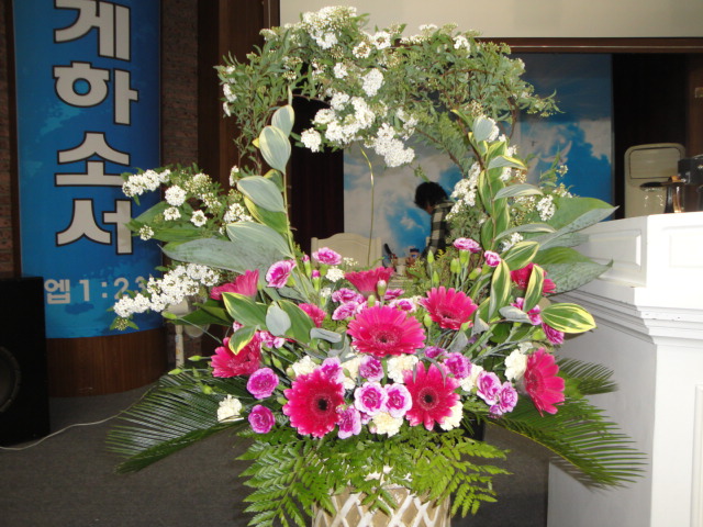 DSC07535_1305218628136.JPG