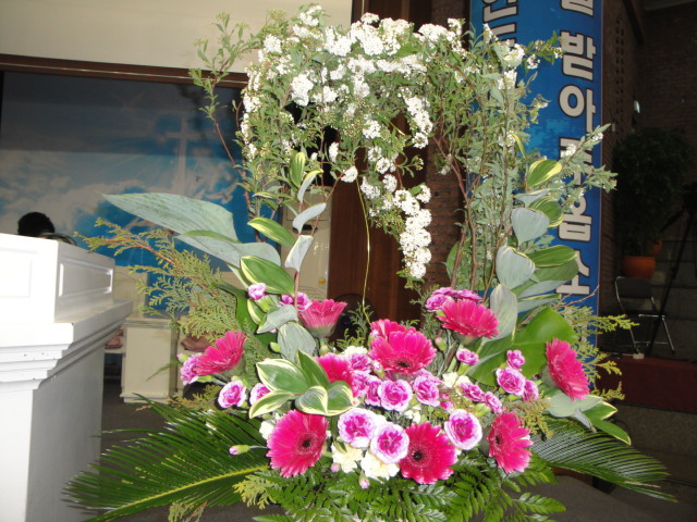 DSC07536_13052186281374.JPG