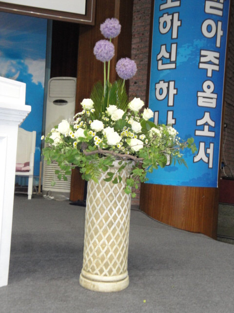 DSC08165_1306898515413.JPG