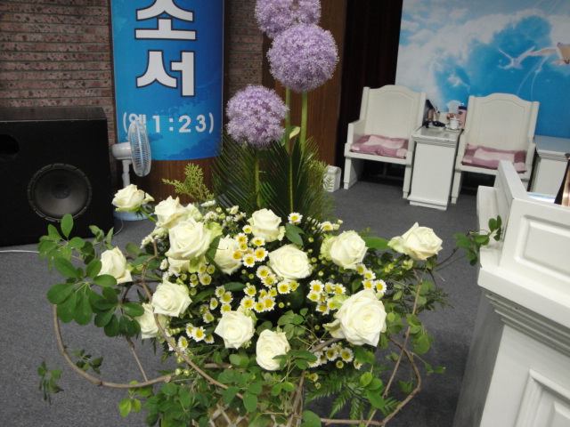 DSC08169_1306898515416.JPG