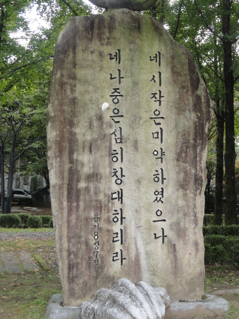 14132035341101.JPG