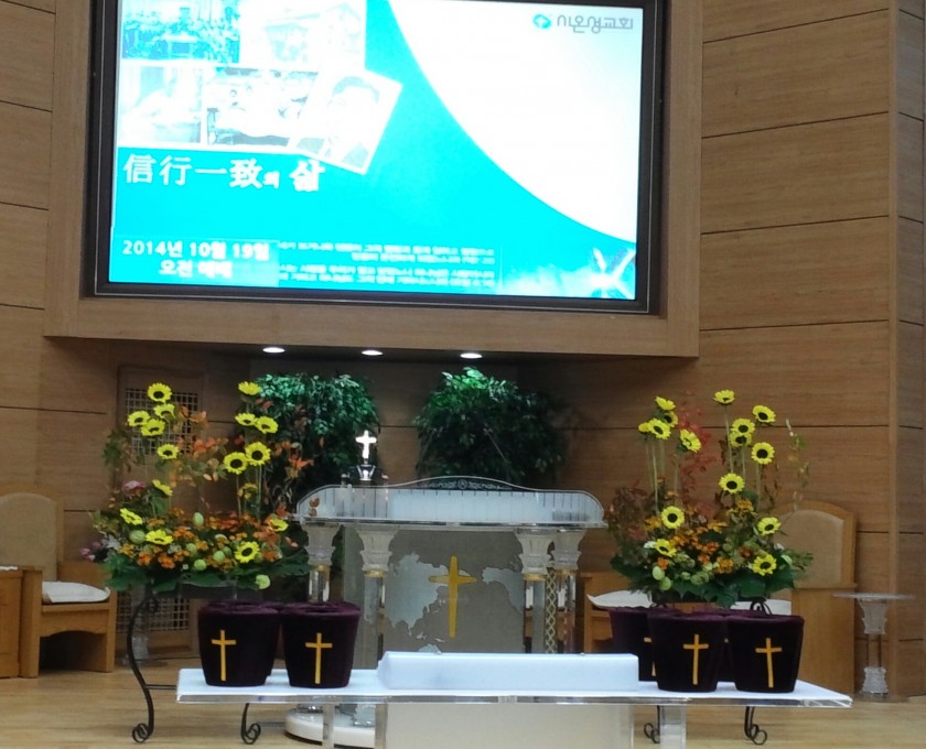 14137051593113.jpg