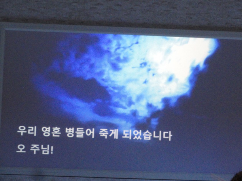 1457704640883.JPG