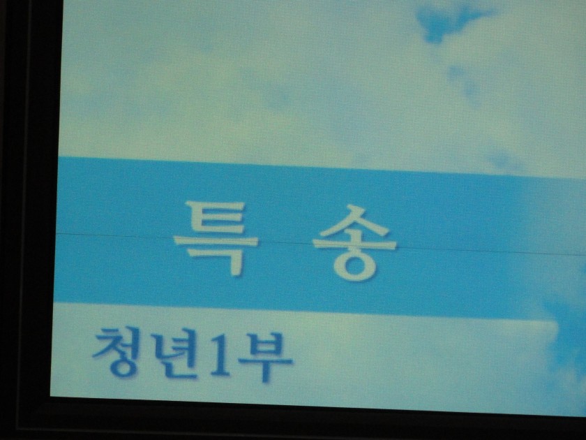 14584641320967.JPG