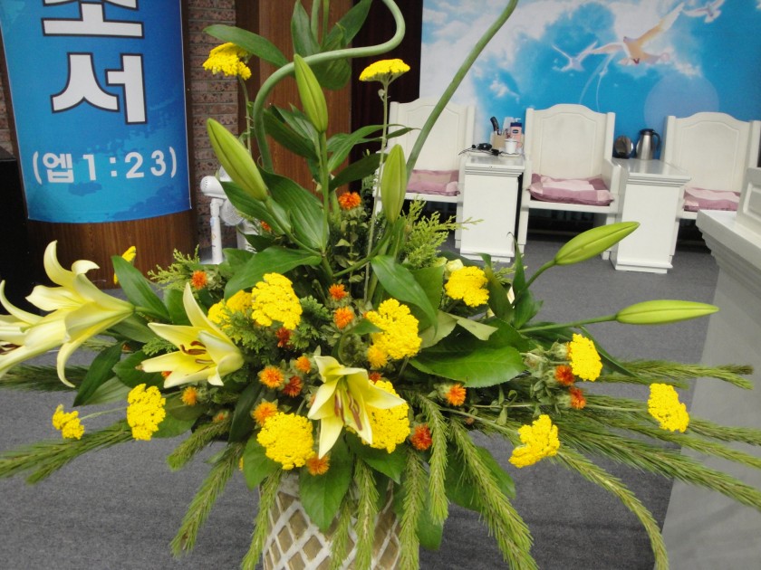 DSC08538_13081072298614.JPG
