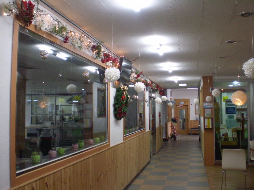 PA130046_13545062544446.JPG