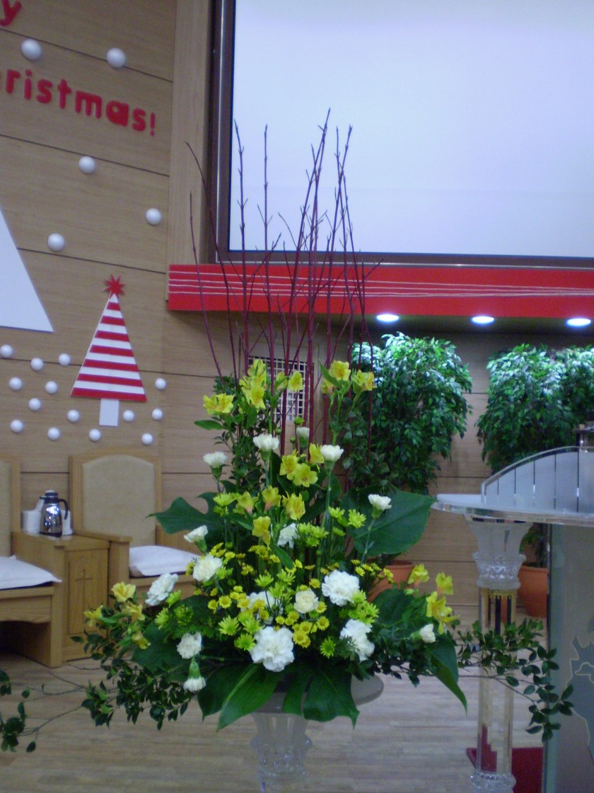 PA270072_13559239814963.JPG