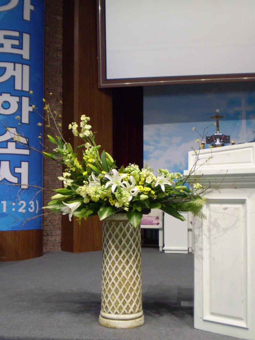 PC300019_1296794149329.JPG