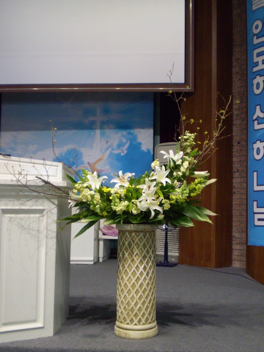 PC300020_12967941493345.JPG
